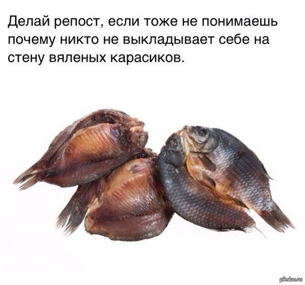 Лиге карасей
