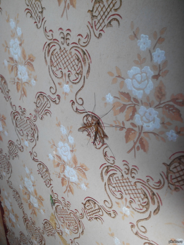 ��� ����� ����� �������� �� ��� � �������