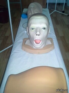 На ночь глядя...