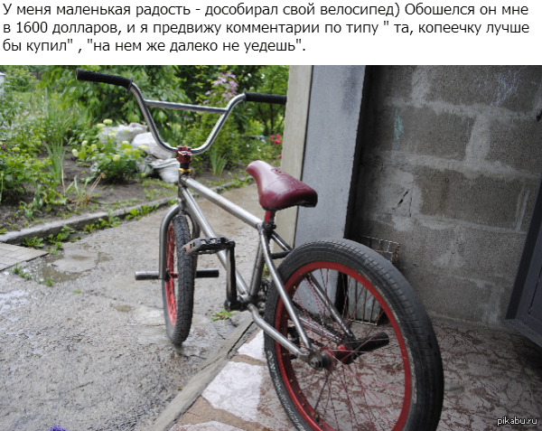 Моя прелесть