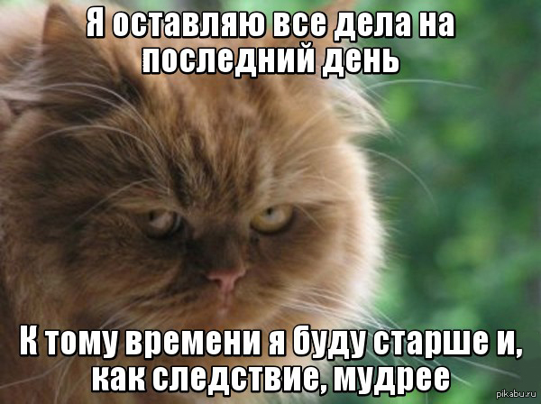 Почему я делаю дипломную работу в последние дни перед её защитой