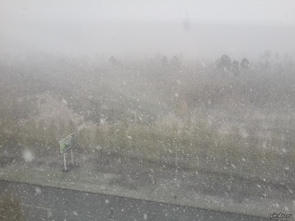 � � ��� ���� � ����� �������!