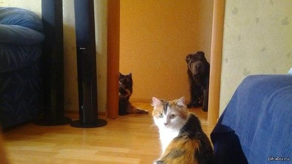 �� ��� �����?! ����� ��� ����� � ���� �� ������!!!