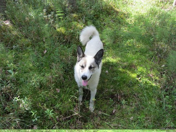 ��� ������.