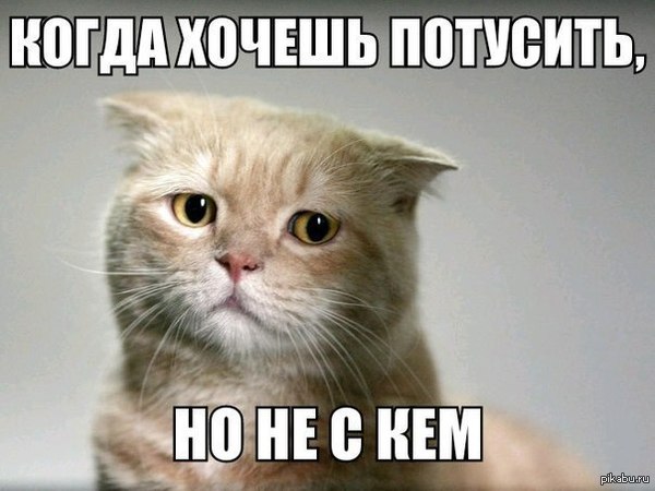 With no one... - Not with anyone, Party, cat