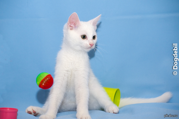 ���� �����!