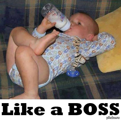 Like a Boss!    