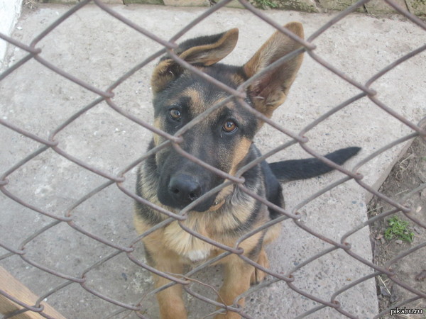 ��� ����� ������� �� ����� ���� ���� � ���� ������