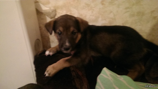 ����� � ������ ����!��������� � �������, ����������!!!