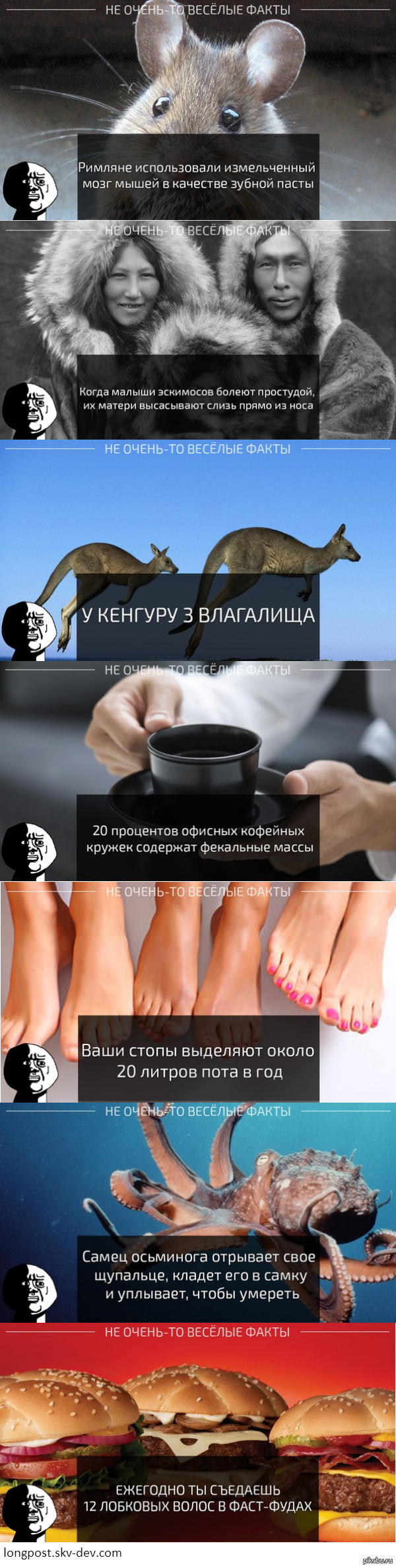 �� �����-�� ������ �����