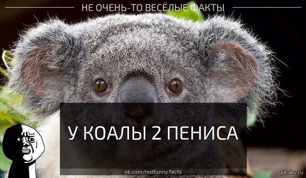 Как-то мне не очень весело.