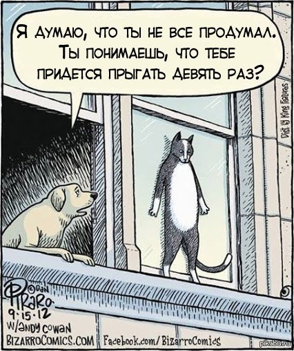 Минус в том, чтобы быть котом!