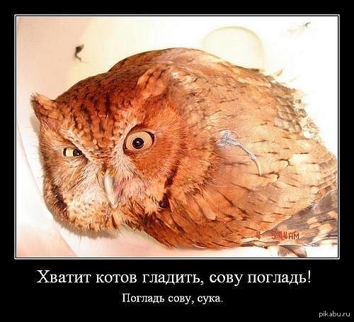 ������� ����...