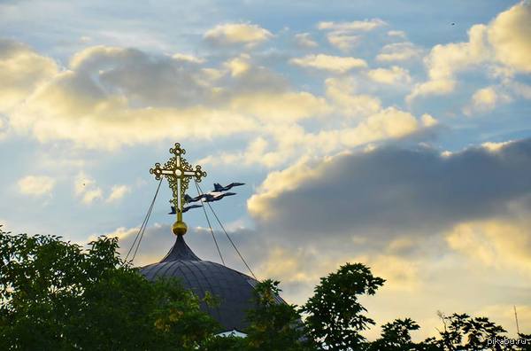 ����� � �����������