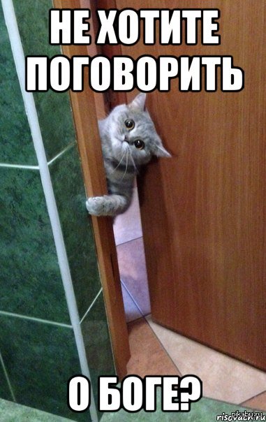 ���������..?