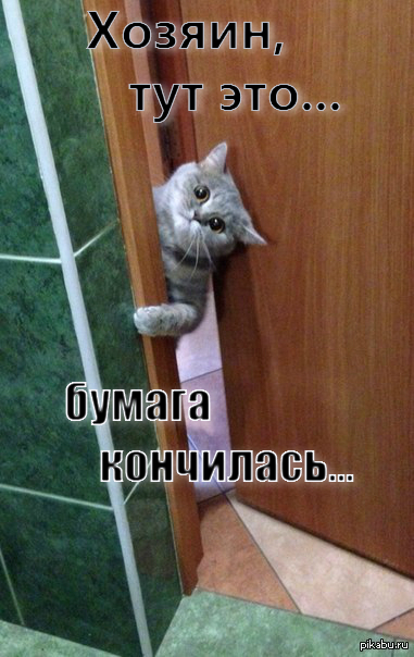   ...    <a href="http://pikabu.ru/story/yeto_kotyara_moey_sestryiz_2378854">http://pikabu.ru/story/_2378854</a>