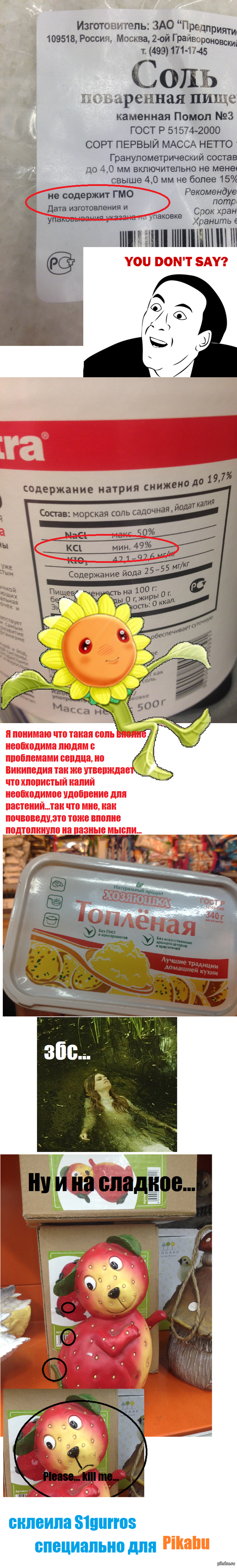 ������ ������� ������� � ���� ��������� �����������.