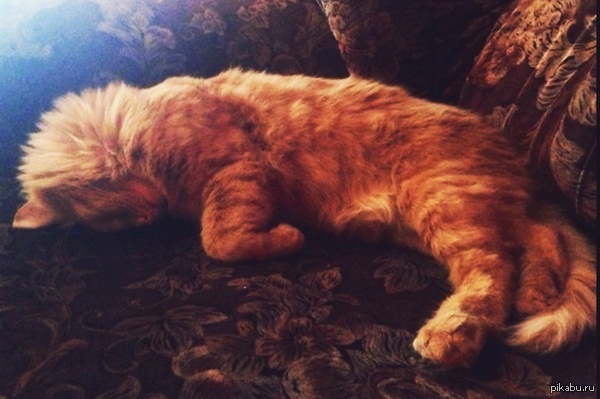 �����,�� ����������.