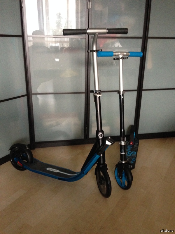 ������ ������ ��������