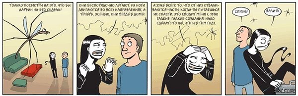 ���� ��� ������������