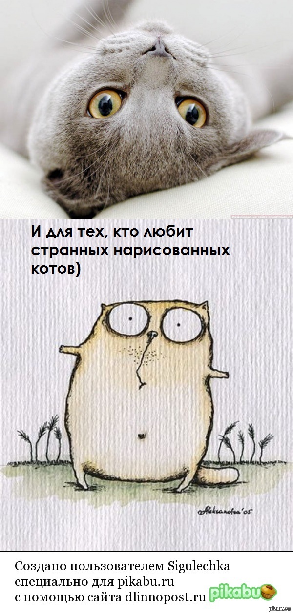 Проверка теории