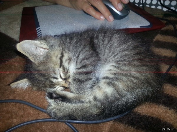 ������� #2