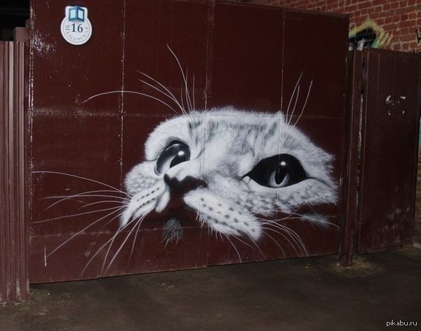 Street art in Kharkov - NSFW, My, cat, Drawing, Graffiti, Kharkov