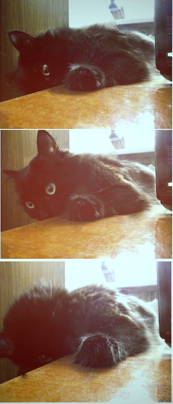 ��� ������ ����������� ���-�� ����