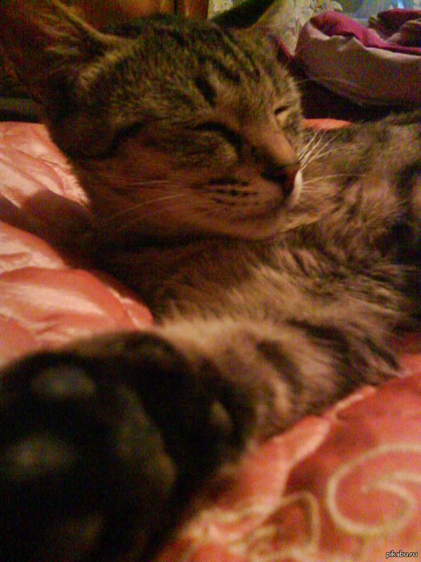 Let me take a SELFIE