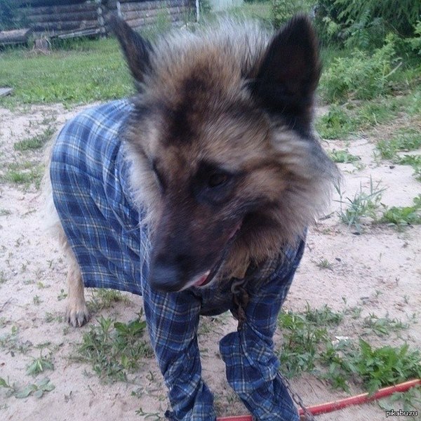 ��� ����� ������ ���� <3