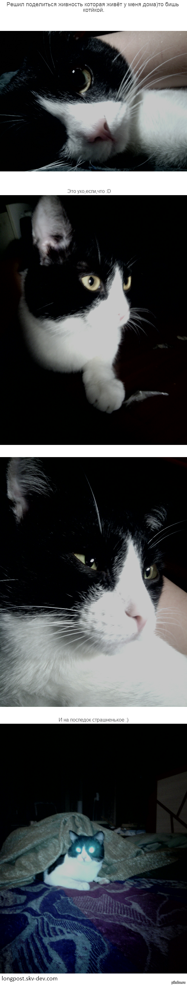 ��� �������