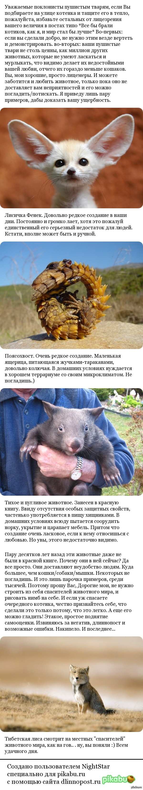 ����������� ���� "����������" ��������� ����