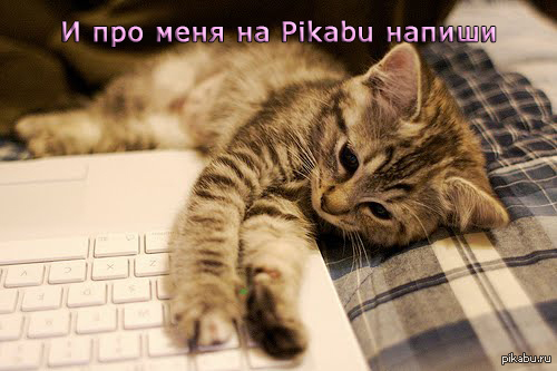 Про меня не забудь...