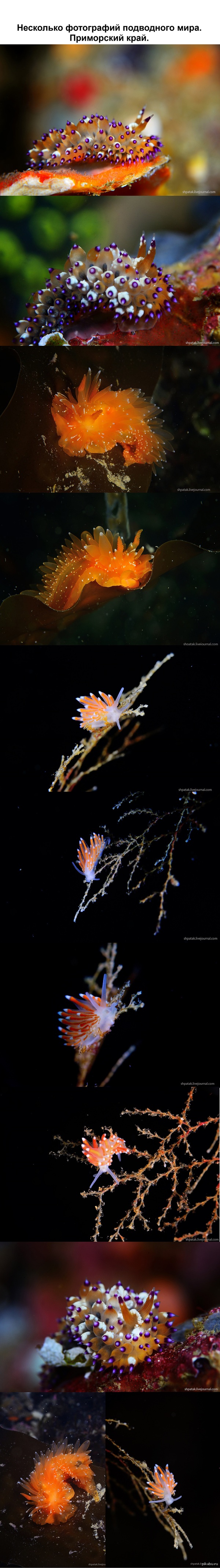 ����������.