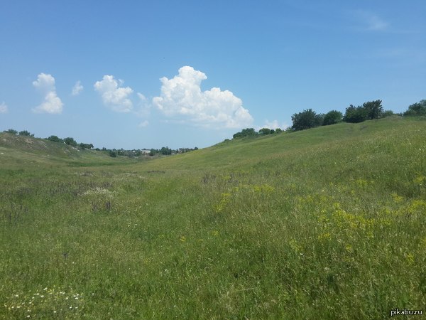 Вот такая у нас балка в селе Владимировском в Запорожье,  на обои для рабочего стола сгодится даже.)