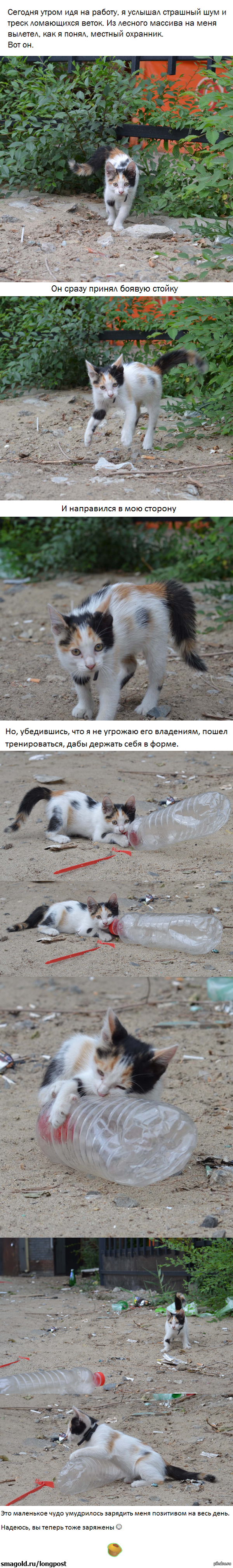 ��������, ���� �������� �� ��������