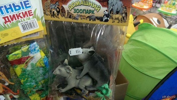 �������� �������