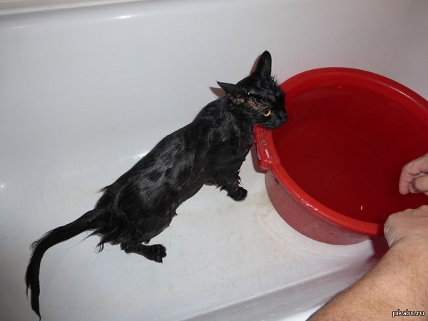 � �������� ������ ����