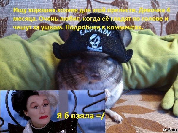 Просто в минусах, нет возможности прокомментировать :(