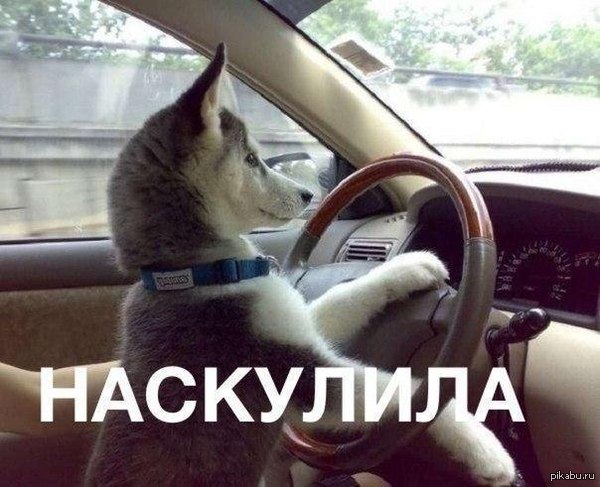 1403154148_1303806260.jpg