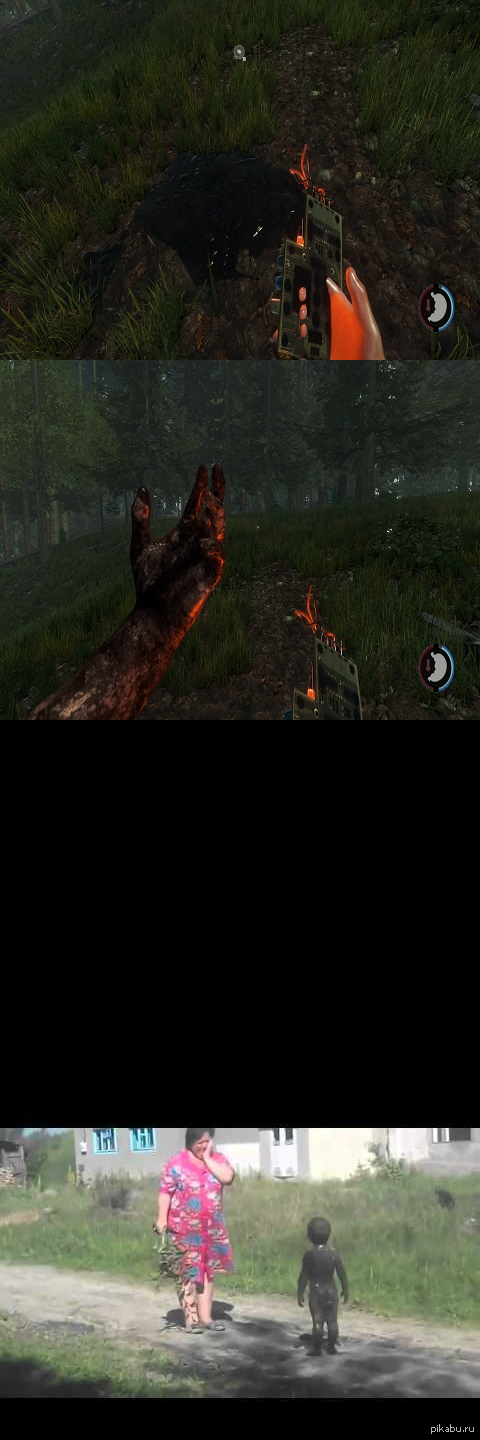 The Forest