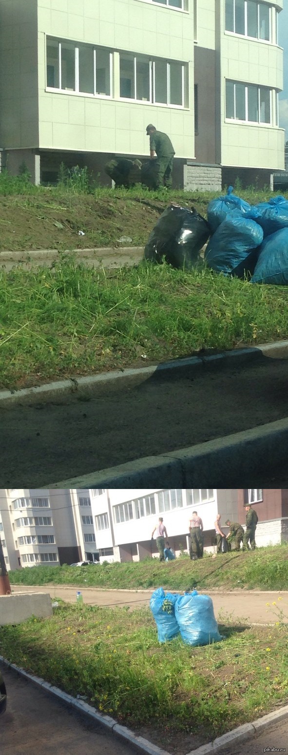   !!!   <a href="http://pikabu.ru/story/gazon_2395234">http://pikabu.ru/story/_2395234</a>   18.20   :)))