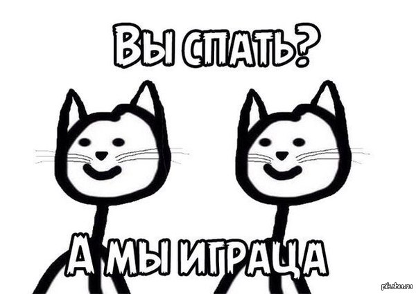 Ох, уж эти коты!