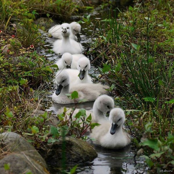 ��������� ������� ������. )