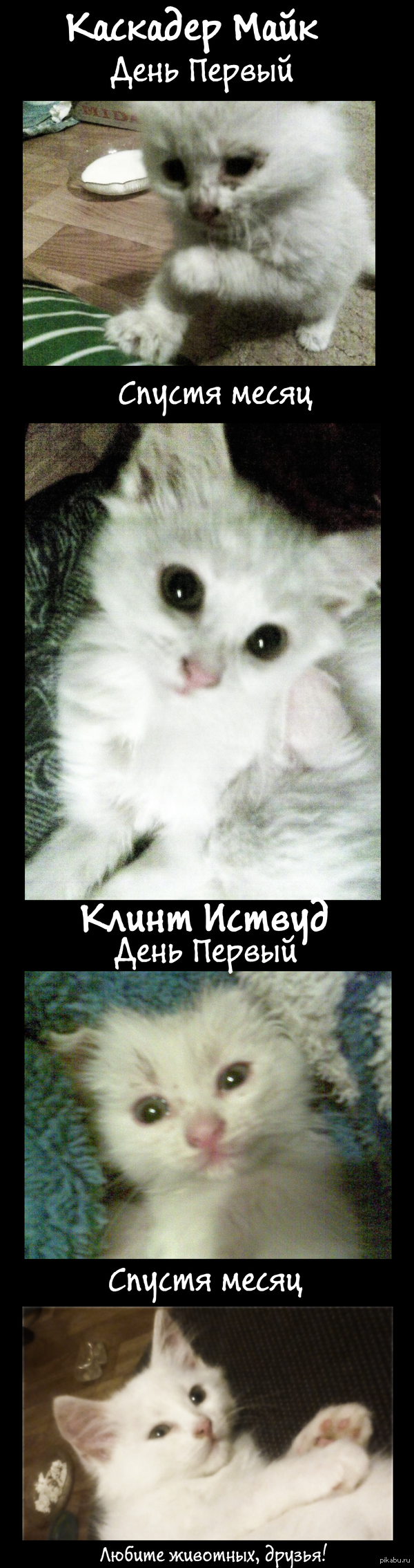  )    :  <a href="http://pikabu.ru/story/_2264397">http://pikabu.ru/story/_2264397</a> ?       - !    ! .