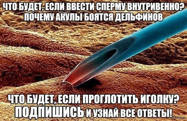 ���� �������