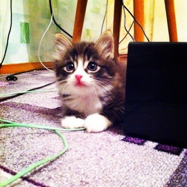 Тип не причем...