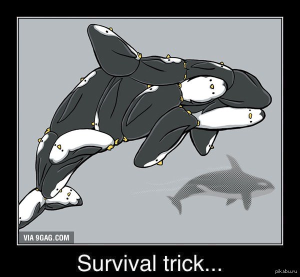Survival trick