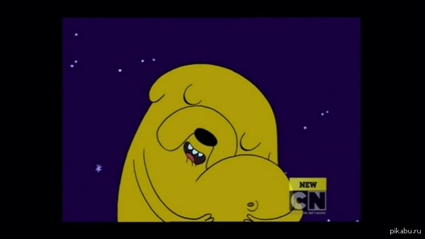 Коротко обо мне