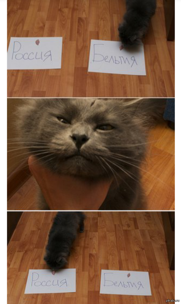 ����� �������������